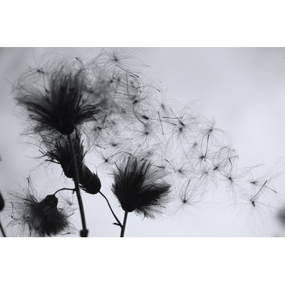 Analiese Silhouette of Wildflowers 1 Piece Wrapped Canvas Wall Art