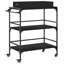 Osterman Metal Bar Cart-899348963