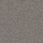 Flanelle Wexler