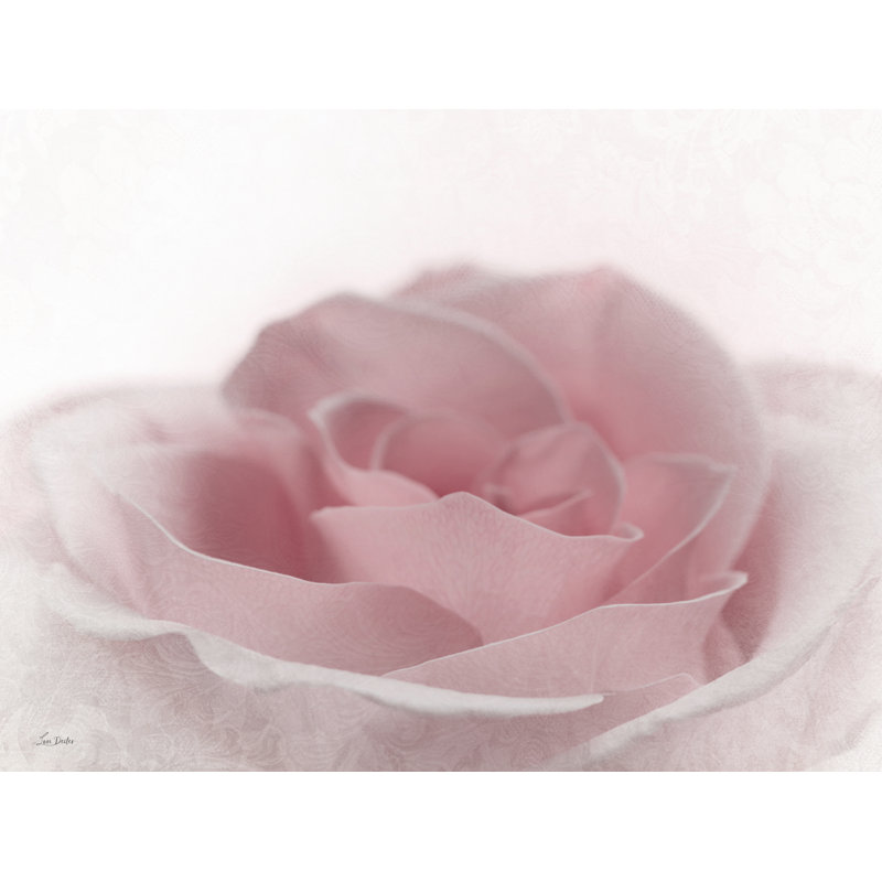 Romantiques roses II sur toile par Lori Deiter, H 20 po x l 30 po x P 1,25 po