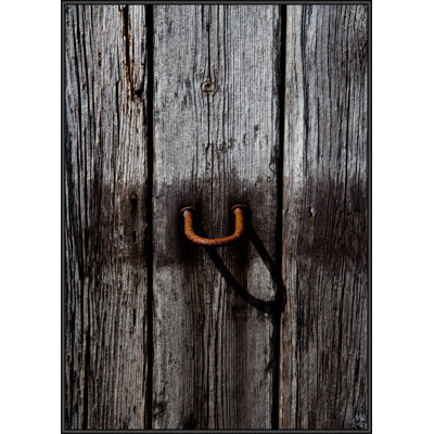 Single Picture Frame Print