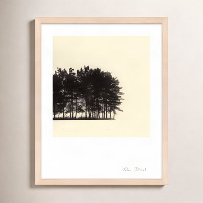 Garden Sign "Copse" Print by Peter Dušek