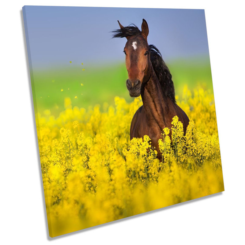 Z0389 Horse Floral Field - Wrapped Canvas Print, 60cm H x 60cm W x 2cm D