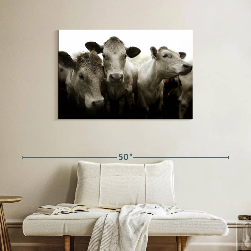 Brampt Three White Cows, 26" H x 39" W