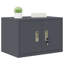 Storage Cabinet-993375412