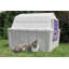 Cat Palace