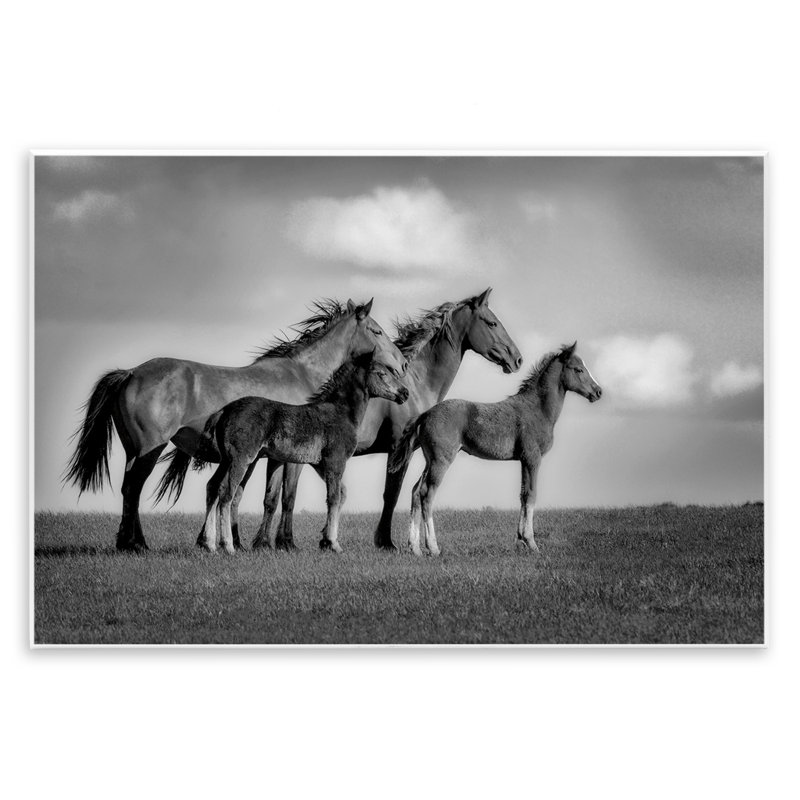 Plaque murale Babies On Board Horse Family, design par Wendy Caro, H 10 po x l 15 po