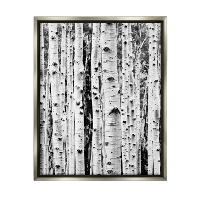 Ayatt " Birch Trees Forest " by Sisi And Seb