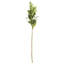 24-Inch Mini Berries Stem-1142777713