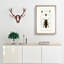 Beetle Illustrations PL.4 by Charles D'Orbigny - Single Picture Frame Print-55543853-55543854