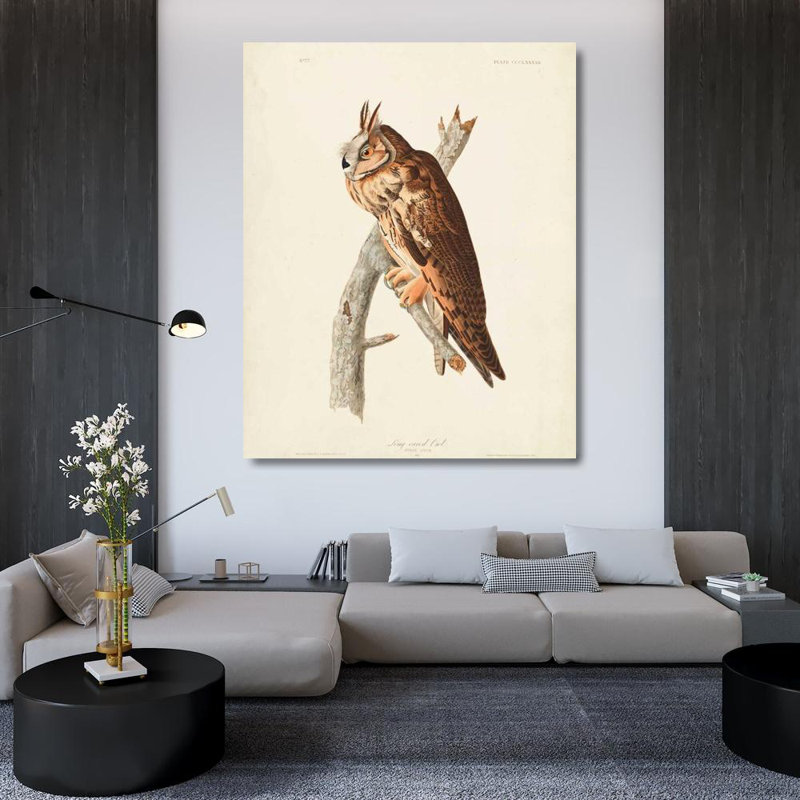 Loon Peak® Audubon, John James Gallery, art sur toile tendue: Pl 383, hibou long, H 44 po x l 36 po