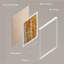 «White Orange Birch Tree Leaf Spring Autumn Forest» sur-98266528-98266532