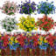 Arrangement