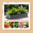 Outdoor Metal Raised Beds for Vegetables & Flowers - Reinforced Galvanized Steel, Rustproof-1307282612