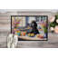 Paillasson Decorating-112770538