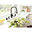 Contemporary Extended Reach Plp Pulldown Faucet - Lever Sprayer