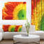 Gerber Daisy Flower Petals - reproduction de photo sur toile-1685030764-1690037772