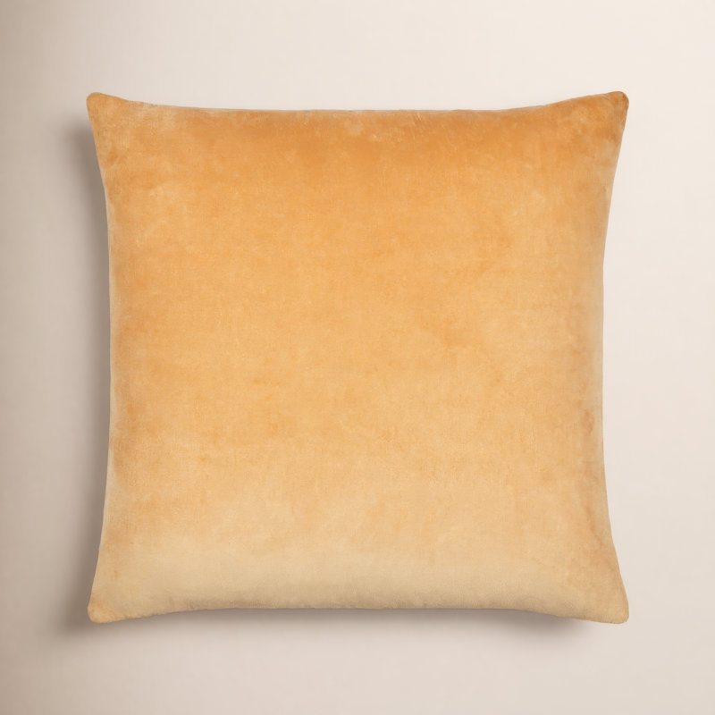 Coussin en coton Beyerne, Brun clair, 22 po x 22 po, Duvet
