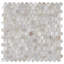 Conchella Mini Penny White 11-1/2" x 11-5/8" Natural Shell Mosaic Tile