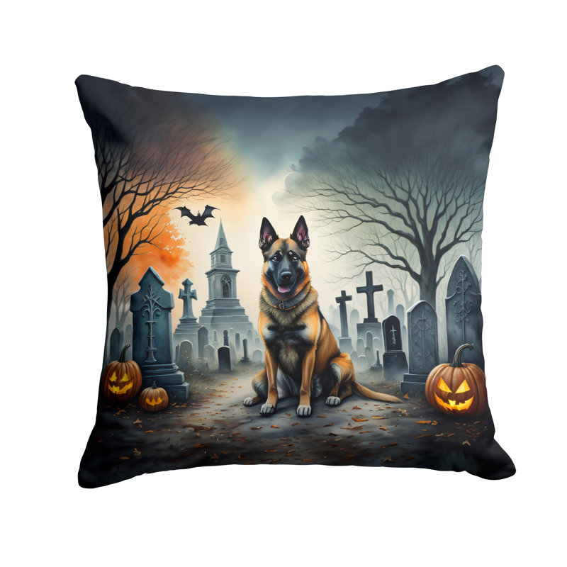 Other/No Pattern Outdoor Throw Pillow, 14" x 14"