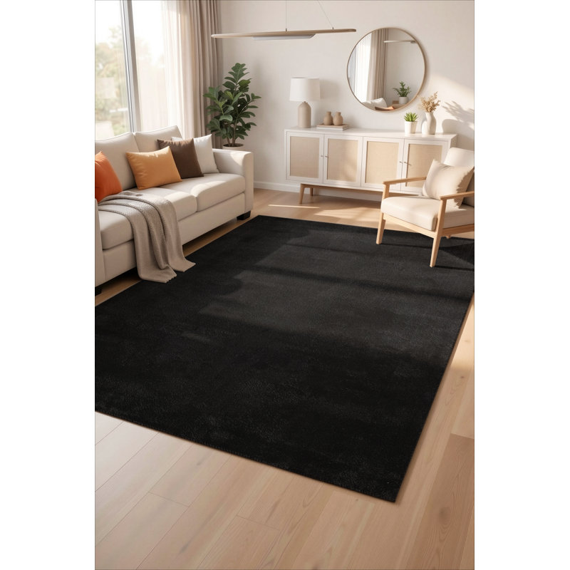 Taeler Washable Modern Living Room Rug Polyester - Anti-Slip Felt Backing Carpet Bedroom-Hallway, Black