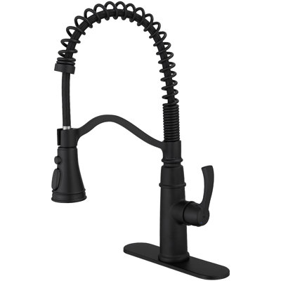 VIBRANTBATH Pull Down Kitchen Faucet