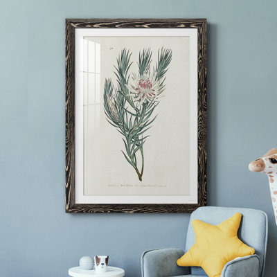 Protea N33 - Peinture encadrée