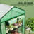 Small Greenhouse, Convenient Mini Greenhouse-125438726