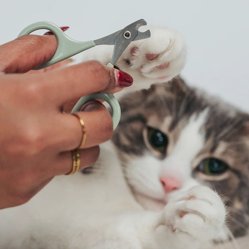 Nail Clipper: Cats & Small Pets