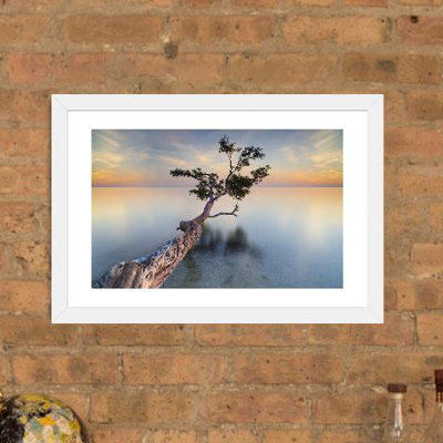 " Water Tree XIV " Color Photography