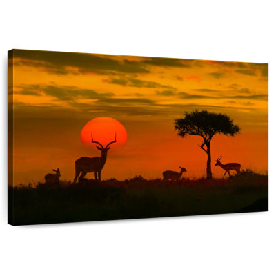 African Sunset Ombre Sky