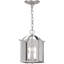 Luminaire suspendu candélabre à 2 lumières pour l'intérieur en nickel brossé avec panneaux en verre transparent