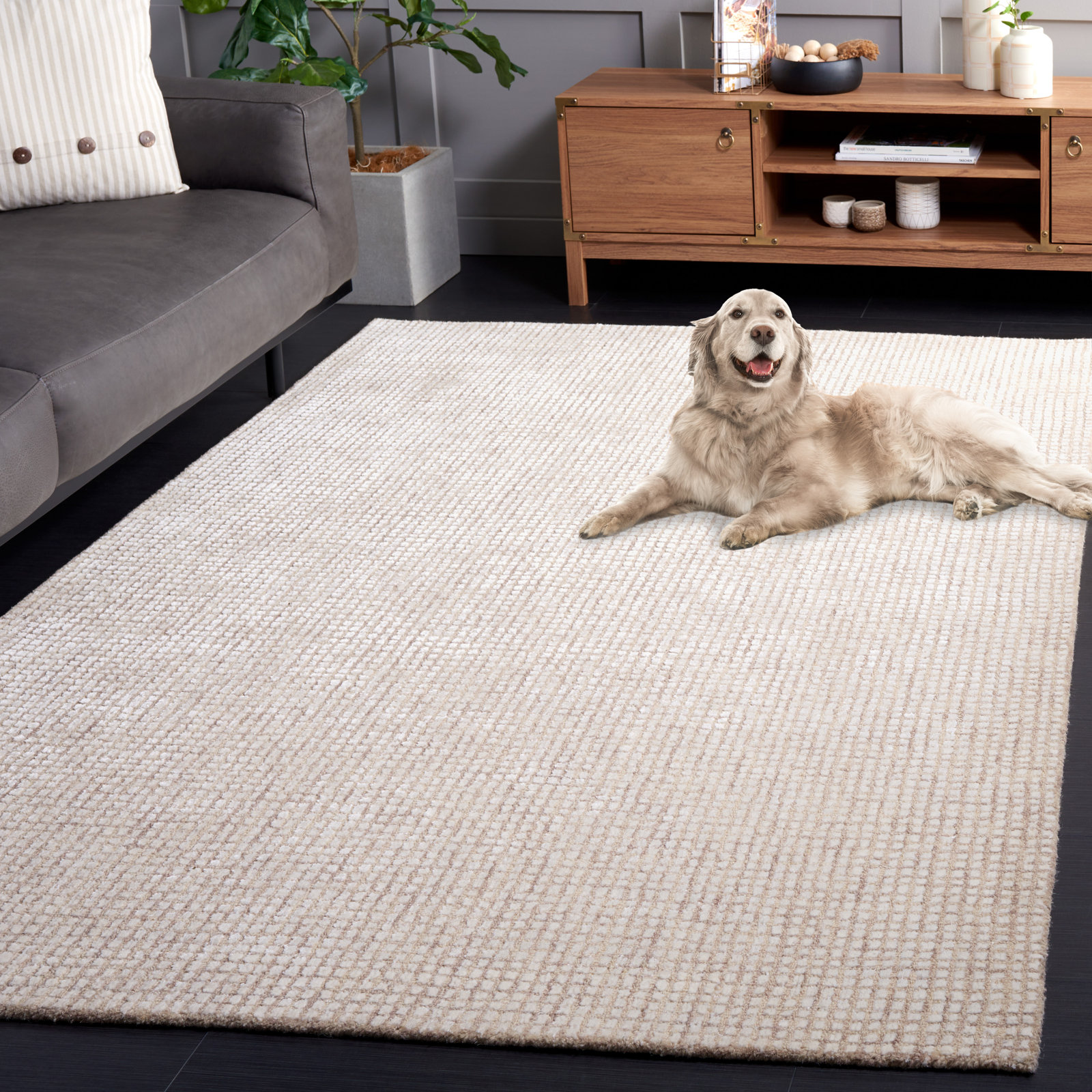 Rowe Ivory Beige Hand-Tufted Rug, Rectangle 5' x 8'