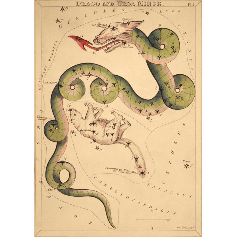 Draco Print by Grand Archives, Gold Framed, 32" H x 23" W