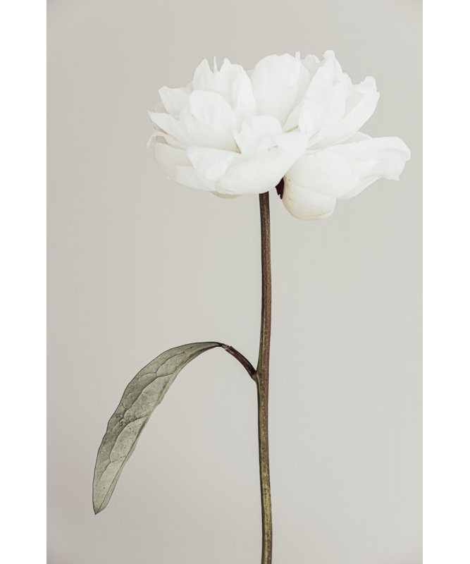 Wrapped Canvas Print, 60.96 cm H x 91.44 cm W