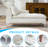55" Upholstered One Arm Chaise Lounge Chair with Adjustable Headrests And Lumbar Pillow-1006359852