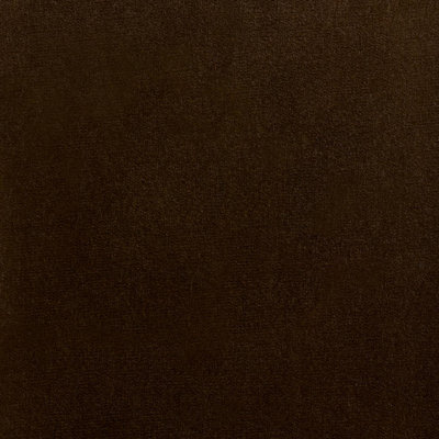 Rocky Performance Velvet Fabric