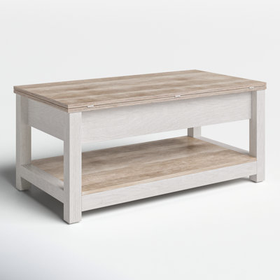 Bojko Multi-Function Lift Top Coffee Table with Hidden Compartment and Storage Shelf