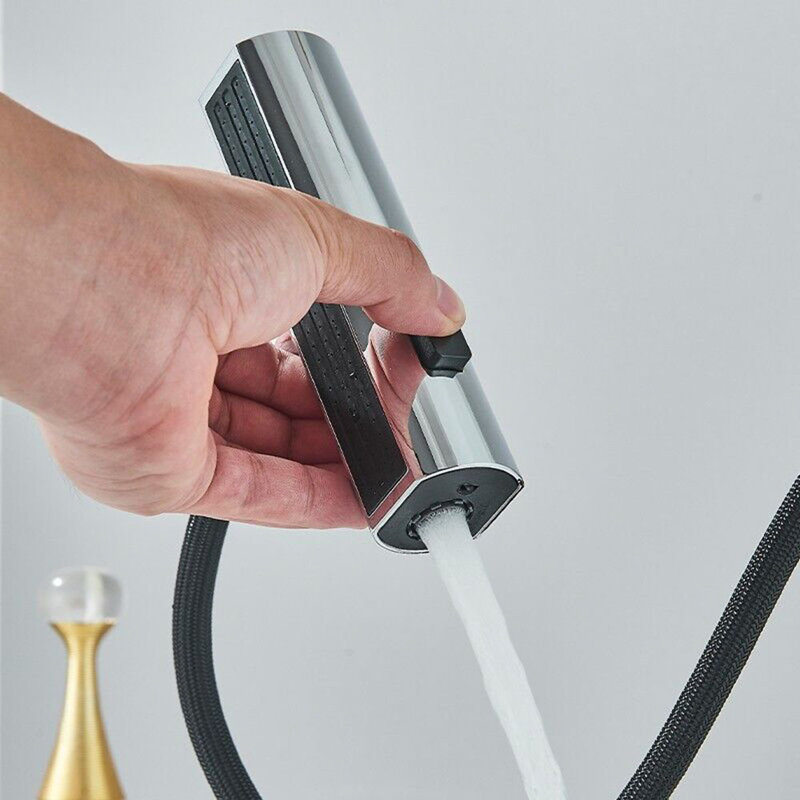 Belfry Kitchen Aldossari Kitchen Faucet