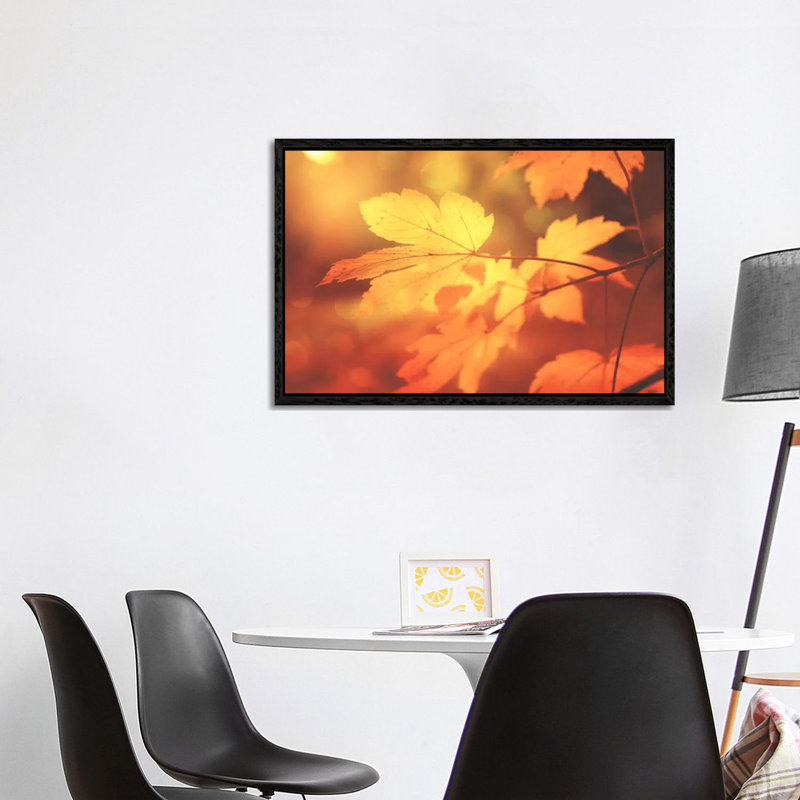 Autumn Leaves Have Arrived by Philippe Sainte-Laudy - Print on Canvas, Black Framed, 101.6 cm H x 66.04 cm W