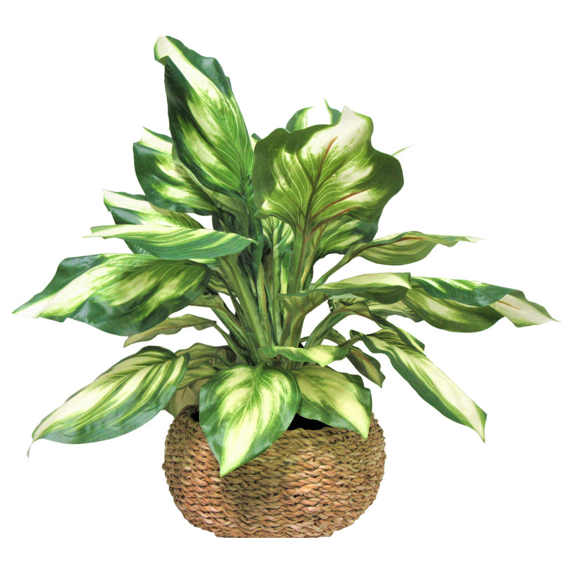 Plante artificielle Byler dans un panier