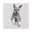 Schnauzer by Vicki Newton - Wrapped Canvas Print-2100123461