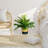 28 " H Faux Palm Plant in Wicker/Rattan Pot