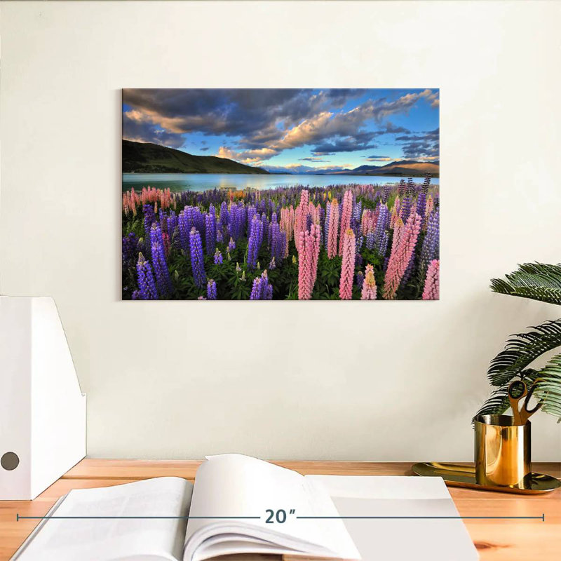 Lupins sur le lac Tekapo, H 8 po x l 12 po