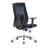 Mesh Ergonomic Office Chair with Chrome Base-1662569587
