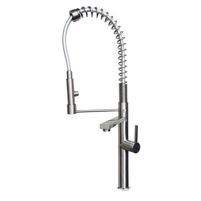 Ancona Pull Down Kitchen Faucet