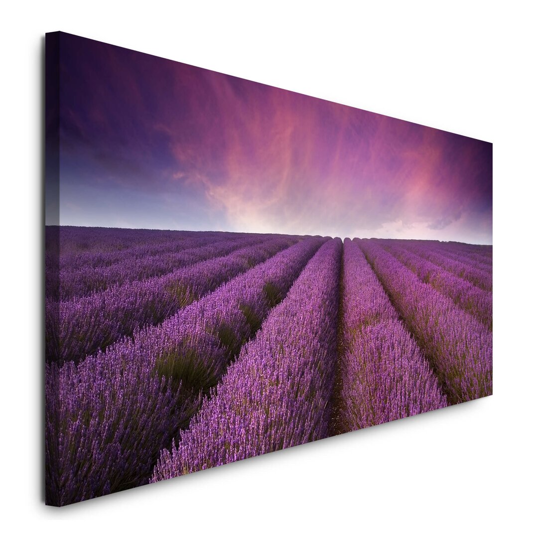 Leinwandbild Lavendel Felder