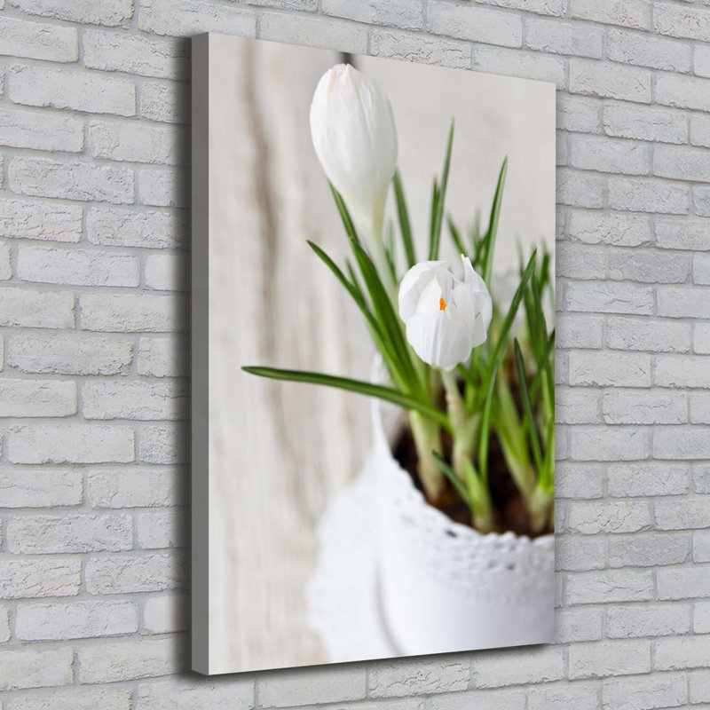 White Crocuses - Wrapped Canvas Print