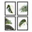 Ensemble de 4 palmiers tropicaux verts et blancs, impression murale encadrée sur papier, impression de 4 pièces-93012338-93012339