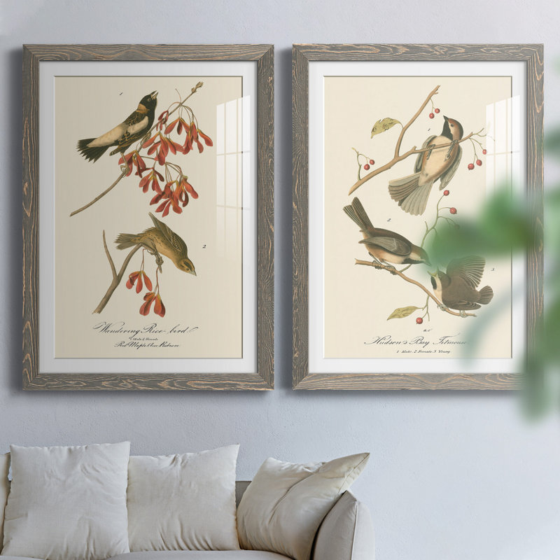 Oiseau de riz Wandering, reproduction encadrée, prête à être accrochée, H 43,5 po x l 31,5 po x P 1 po, Cadre en papier gris